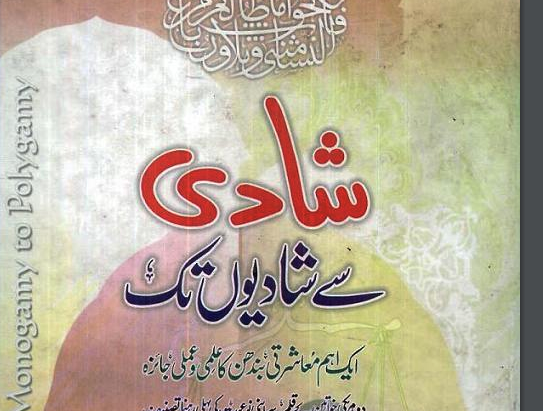 شادی سے شادیوں تک cover